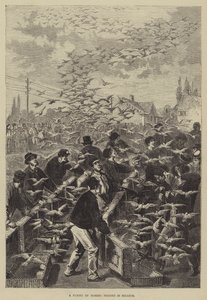 Um voo de pombos-correio na Bélgica de Frederic Theodore Lix