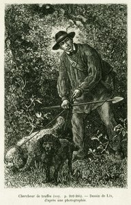 Um caçador de trufas. Gravura de Lix para ilustrar a história A Through Alsace and Lorraine, de Charles Grad, deputado alemão, em 1884, no tour du monde 1886, dirigido por Edouard Charton (1807-1890), Hachette, Paris.