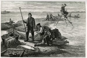 A pesca do salmão. Gravura de F.Lix, para ilustrar a história "Through Alsace and Lorraine", em 1884, de Charles Grad (1842-1890), deputado alemão, escritor e naturalista. Publicado em Le Tour du monde, nouveau journal des voyages, 2º semestre de 1885, edi de Frederic Theodore Lix