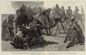 Com o corpo de camelos de Sarass a Dongola, uma parada da infantaria montada no deserto da Núbia