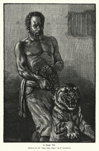 A Queer Pet (gravura) de Frederick (after) Calvert