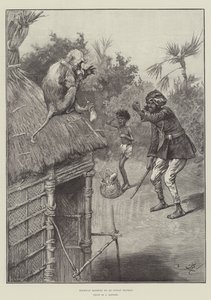 Assalto à estrada por um macaco indiano de Frederick Barnard