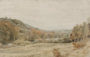 Rio Tamar, perto de Endsleigh, Devon
