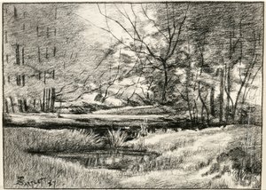 Piscina no Adirondacks de Frederick Eugene Bartlett