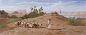 Um rebanho de cabra perto do Cairo