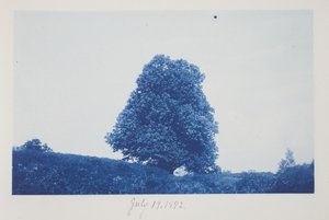 Sem título, 19 de julho de Frederick K. Coulson