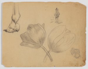 Página do caderno de Frederick Krieg