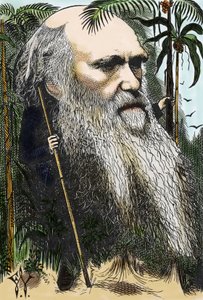 Charles DARWIN (1809-1882) caricatura de F. Waddy em "in Once A Week" de 1873.