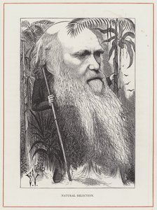 Charles Darwin, Seleção Natural