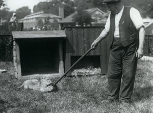 Um, filhote leão, tocando, com, um, esfregão, segurado, por, seu, keeper, ligado, a, capim, frente, seu, den, hondon zoológico, setembro, 1925 de Frederick William Bond