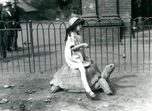 Uma menina pequena, Betty, segura uma vara com uma maçã no final para levar a Tartaruga Gigante que ela está montando, Zoológico de Londres, 1924 de Frederick William Bond
