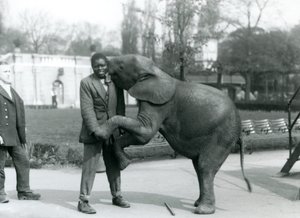 Um jovem elefante pigmeu Africano fica em suas patas traseiras para abraçar seu treinador Africano, enquanto o guardião olha, London Zoo, de julho de 1925 de Frederick William Bond
