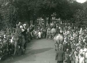 Passeios de Elefante, com três elefantes asiáticos observados por multidões de espectadores no Jardim Zoológico de Londres em agosto de 1926 (foto a p/b) de Frederick William Bond