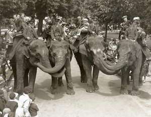 Passeios de elefante no zoológico de Londres, julho de 1936 de Frederick William Bond