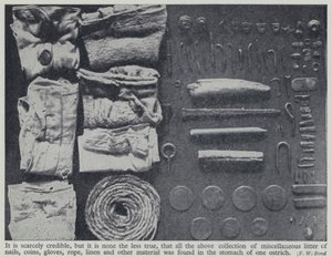 Itens encontrados no estômago de uma avestruz (foto a p/b) de Frederick William Bond
