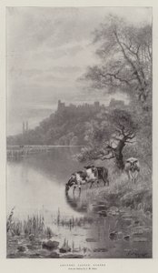 Castelo de Arundel, Sussex