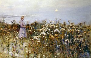 Sol de Verão