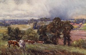 Leamington e Warwick das colinas de Campion de Frederick William Newton Whitehead