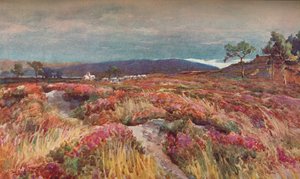 Na igreja de Heath Lytchett, c1904