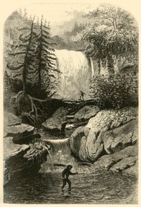 Floresta. de Frederick William Quartley
