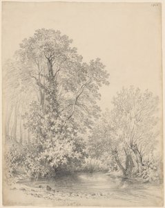 Árvores à beira do rio no Castelo Bromwich de Frederick William Watts