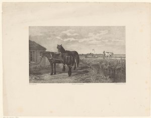 Dois cavalos na frente de um celeiro