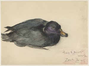 escoteiro preto de Frederika Henriëtte Broeksmit