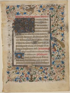 Folha Manuscrito de um Livro de Horas (incip. Passionis) de French 14th Century