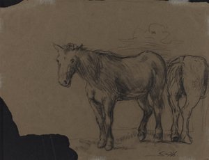 Éguas de French 19th Century