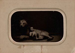 Retrato de uma criança de French 19th Century