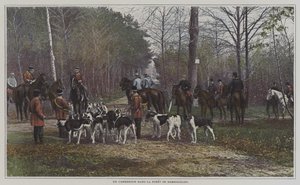 Uma encruzilhada no Foret de Rambouillet, França (foto a cores) de French Photographer