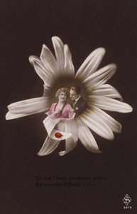 Um jovem casal no centro de uma flor com joaninha (fotocolagem matizada) de French Photographer