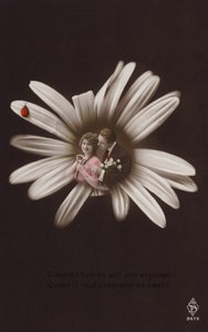 Um jovem casal no centro de uma flor com joaninha (fotocolagem matizada) de French Photographer
