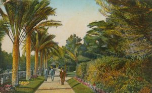 Beco das palmeiras, jardins da Villa Eilenroc, Cap dAntibes, França. Postal enviado em 1913 de French Photographer