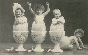 Bebês eclodindo a partir de ovos em ovoscopos (foto a/p) de French Photographer