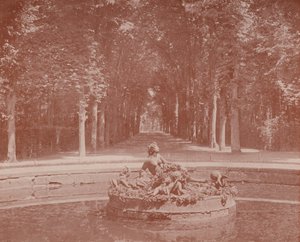 Bacia da Flora, Parque de Versailles (foto a p/b) de French Photographer