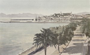 Cannes, porto, e, cidade velha, boulevard de la croisette de French Photographer