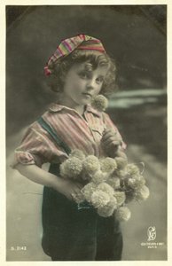 Criança, com, um, grupo flores de French Photographer
