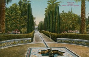 Cypress Walk, Alcazar, em Sevilha, Espanha. Postal enviado em 1913. de French Photographer