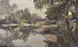 Fontainebleau, Floresta, Mare de Franchard de French Photographer