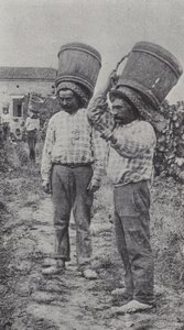 Colhedores de uvas no trabalho (foto a p/b) de French Photographer
