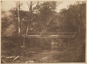 Paisagem com árvores e ponte,c. 1850 (foto) de French Photographer