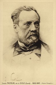 Louis Pasteur (1822-1895), químico e microbiologista francês de French Photographer