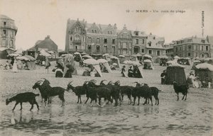 Mers - uma parte da praia. Postal enviado em 1913. de French Photographer