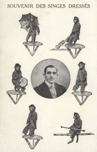 Macacos em traje de French Photographer