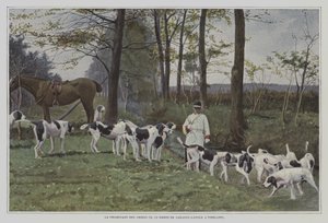 Pacote de cães de caça do Barão de Carayon-Latour em Virelade, França (foto a cores) de French Photographer