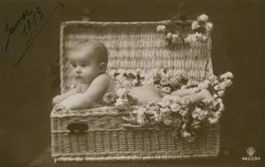 Postal de um bebê em uma cesta de vime com flores, enviada em janeiro de 1913 de French Photographer