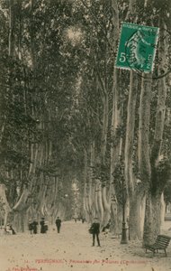 Promenade des Platanes em Perpignan. Postal enviado em 1913. de French Photographer