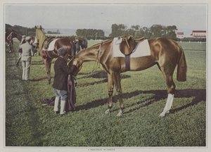 Racehorses em Deauville, França (foto a cores) de French Photographer