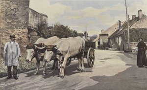 Saulieu, uma equipe no Morvan de French Photographer